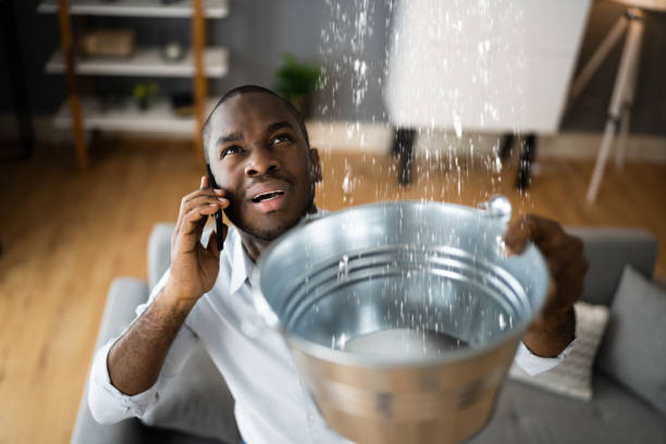 Best Flood restoration services  in Omro, WI