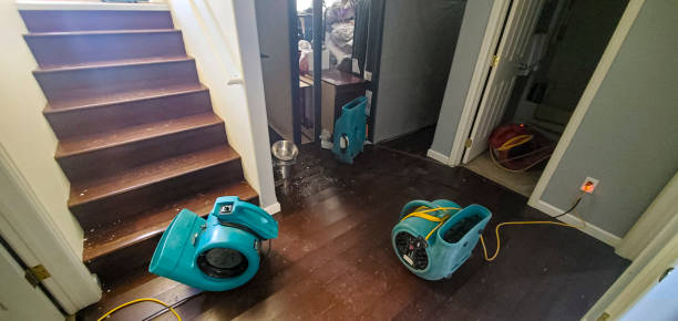 Best Water damage contractors near me  in Omro, WI