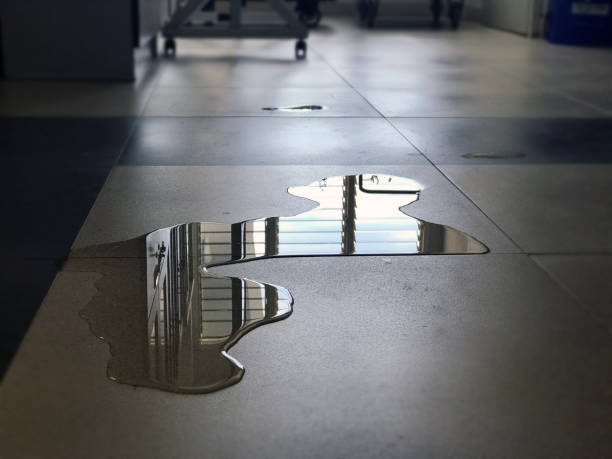 Best Professional water damage repair  in Omro, WI