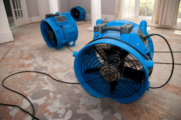 Best Sewage cleanup and water damage restoration  in Omro, WI