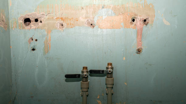Best Water damage restoration company  in Omro, WI