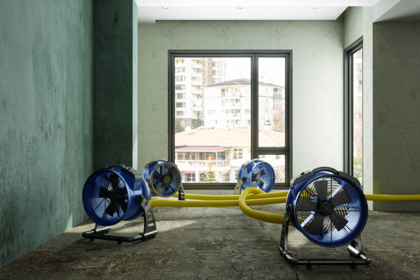 Best Mold removal after water damage  in Omro, WI