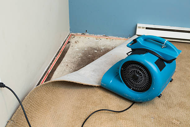 Best Water damage cleanup near me  in Omro, WI
